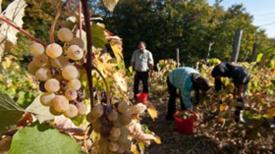 Rusia impune o nouă restricţie economică  Republicii Moldova