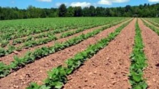 Model de agricultură ecologică