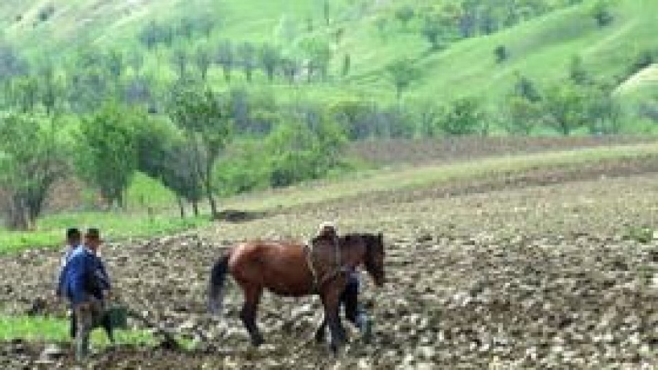 Subvenţii europene pentru terenuri agricole… nelucrate