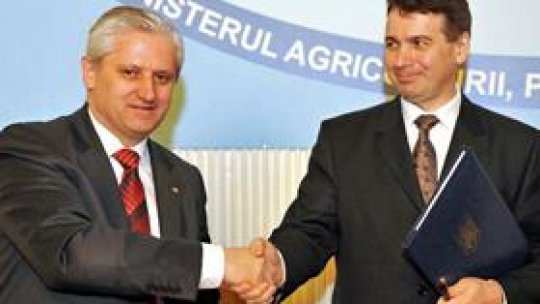 Fructe din Republica Moldova pe piaţa românească