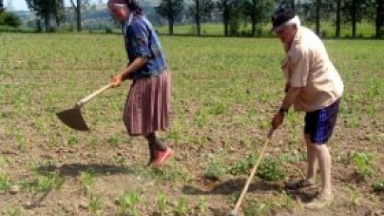 România "are nevoie de importuri agricole" de peste Prut