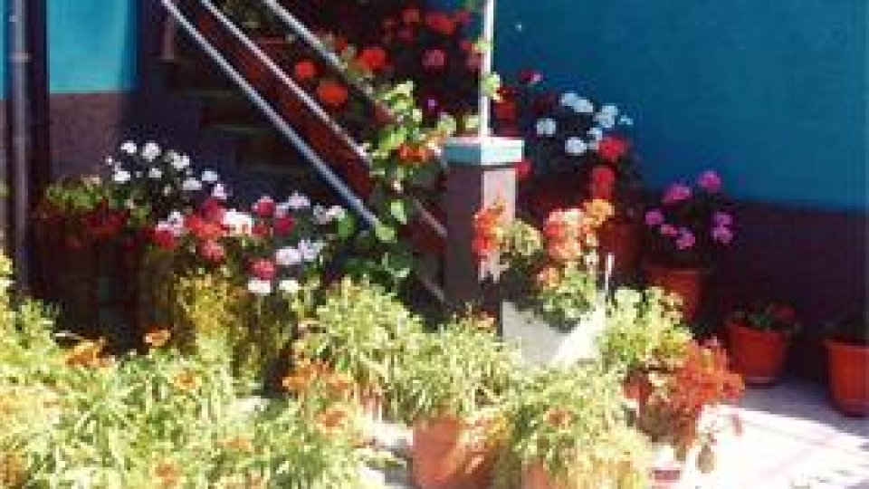 Bistriţenii, premiaţi pentru cea mai frumoasă grădină