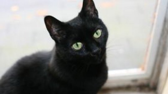 Semnificaţia lui "vineri 13"