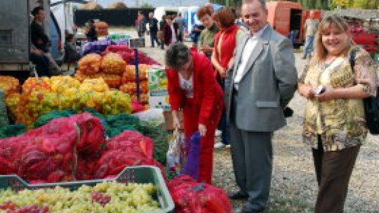 Anotimpul proviziilor de iarnă