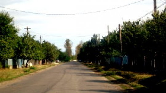 Teren stabilizat prin împăduriri în Olt