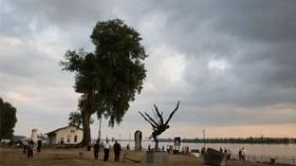 Filme cu gust sau gust de filme