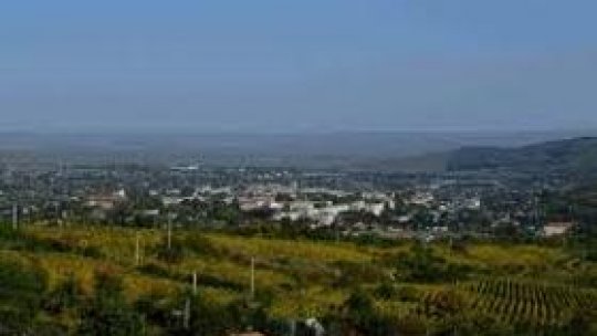 Oraşul dintre vii la vremea culesului