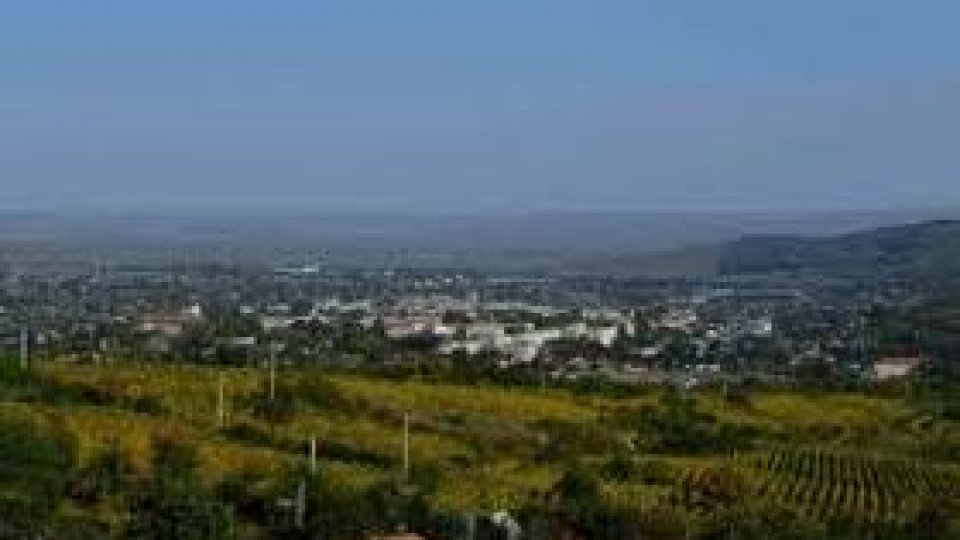 Oraşul dintre vii la vremea culesului