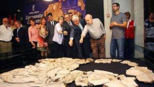 Pepito, dinozaurul cu cocoaşă şi pene