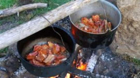 Bucătarii au mai doborât un record!