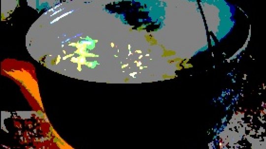 Campionatul de gatit in aer liber