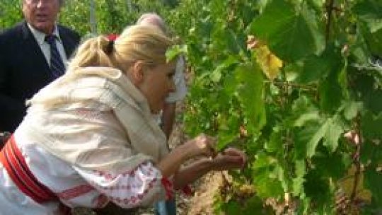 Evaziunea fiscală din turism, combătută cu flagranturi