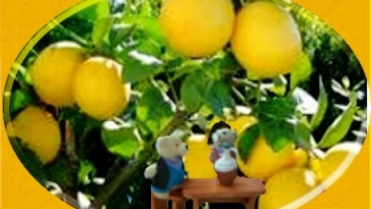 Un internaut la Curtea Regelui Lămâie