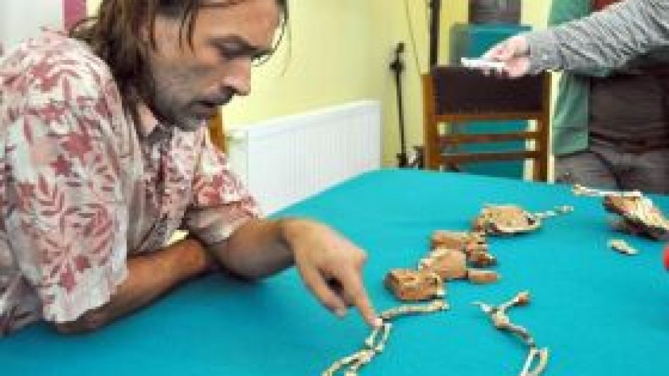 "Cel mai mare dinozaur zburător din lume", găsit în România