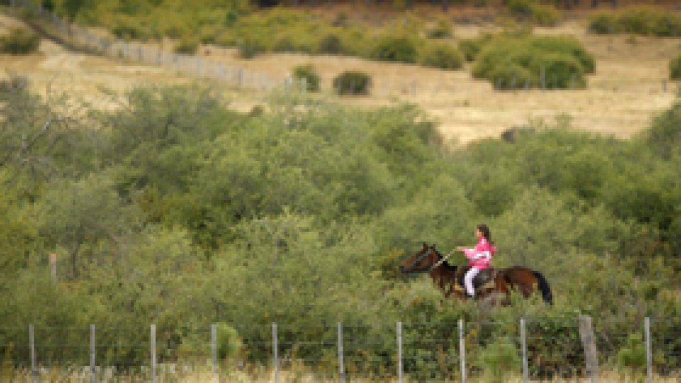 Argentina zguduită de un cutremur de 6,9 grade