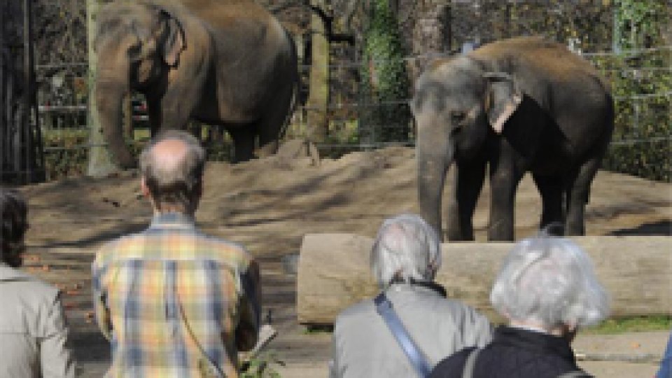 Mai mulţi bani pentru Grădina Zoologică din Târgu Mureş