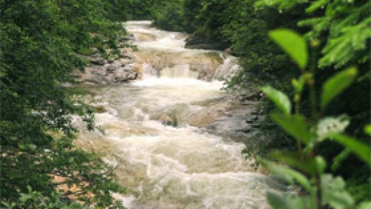 Criza mondială a apei