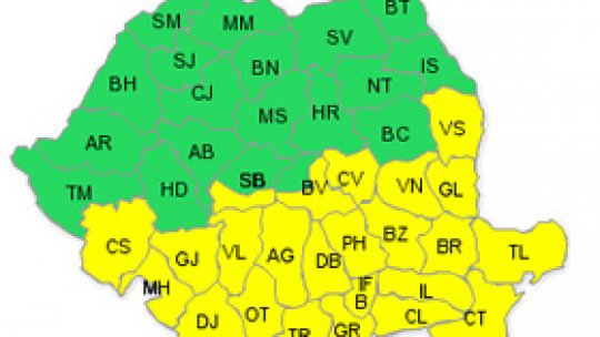 Cod galben de ninsori