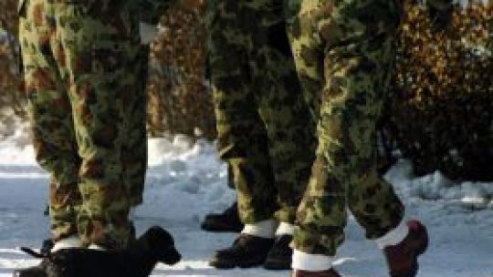 Banii NATO ajută firmele românești