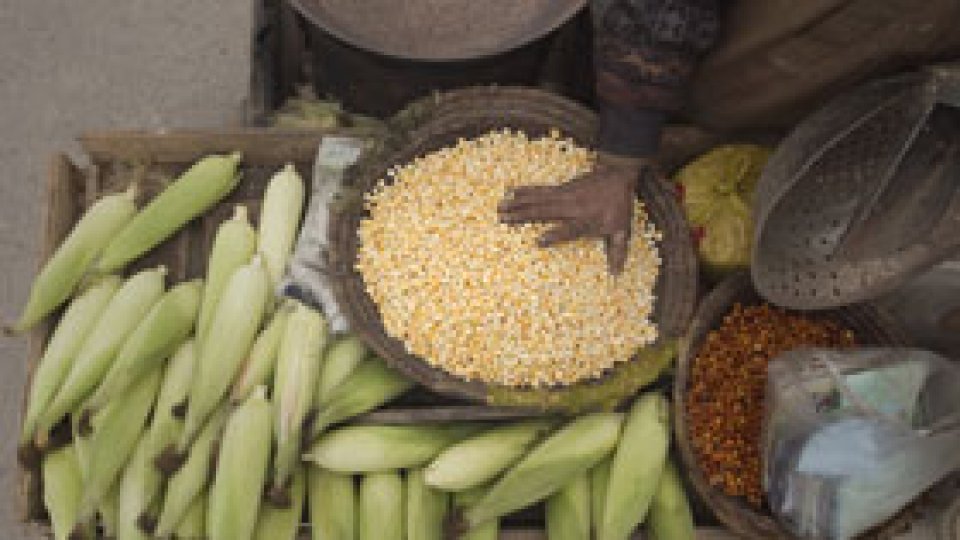 Previziuni englezeşti pentru următorul sfert de secol