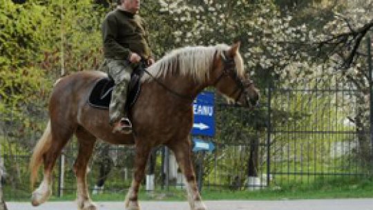 Turism ecvestru în Maramureş