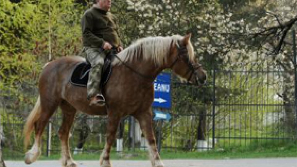 Turism ecvestru în Maramureş