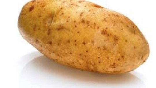 Cartoful, prietenul cel mai bun al BNR