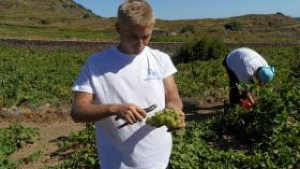Pantelleria, ”insula vânturilor” şi a gusturilor naturale