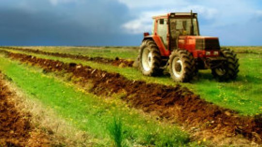 APIA plăteşte de luni un avans la subvenţiile pentru fermieri
