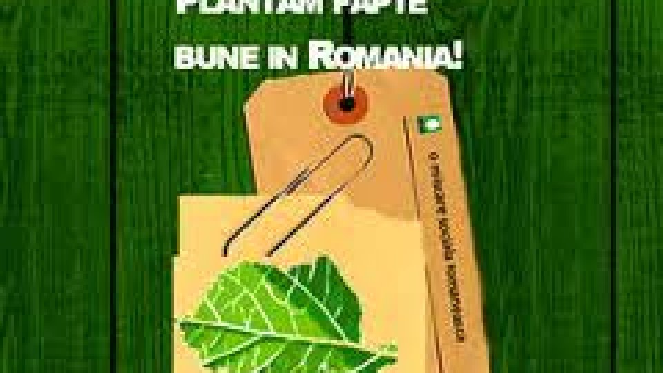 Seceta amână plantarea „de fapte bune” în judeţul Mureş