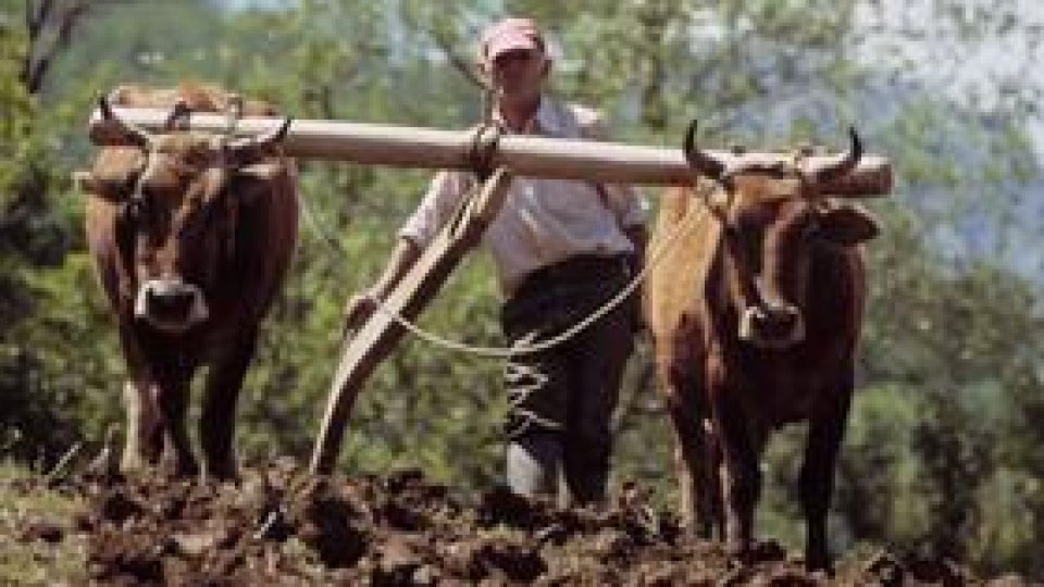 O cincime dintre români trăiesc în sărăcie absolută