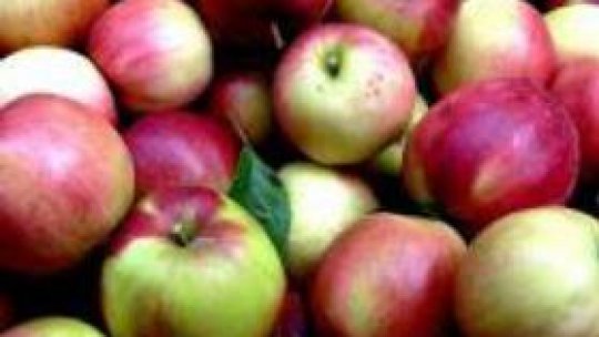 Târgul mărului la Fălticeni