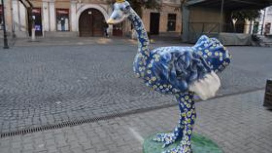 Struţi coloraţi în centrul Bistriţei