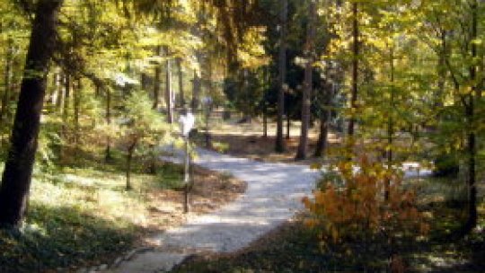 Aerul minune numit Govora