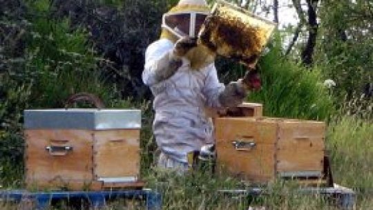 An dulce pentru apicultori 