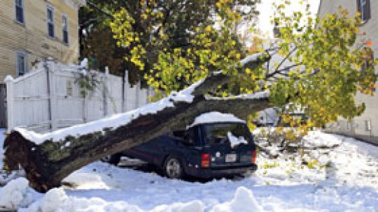 Ninsoarea face victime în SUA