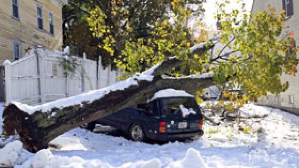 Ninsoarea face victime în SUA