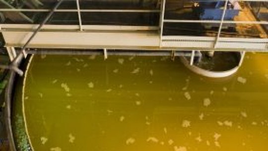 Minereu de uraniu, furat din depozitul de la Ştei