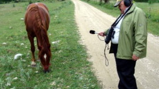 Şi reporterii păţesc lucruri trăznite