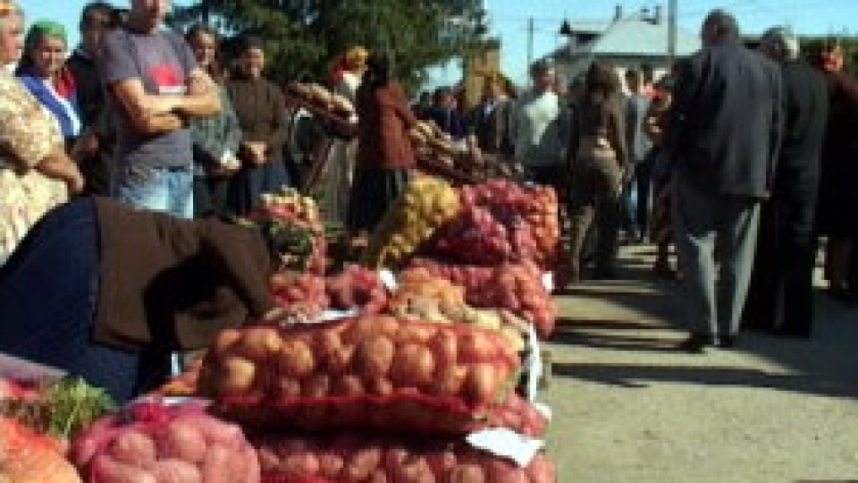 Cheap potatoes without buyers