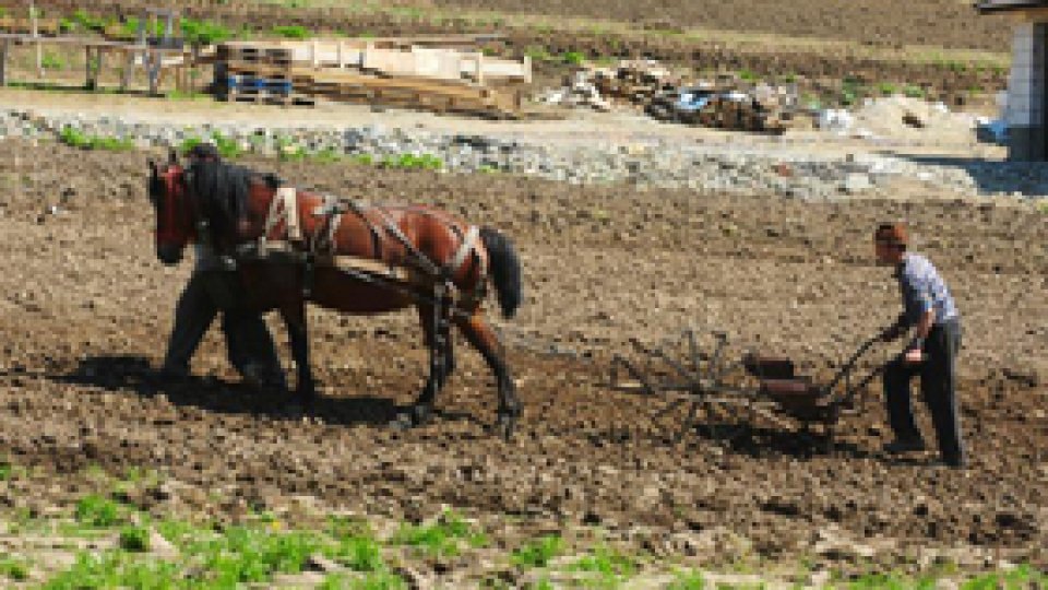 Agricultorii, descurajaţi de "birocraţia excesivă"