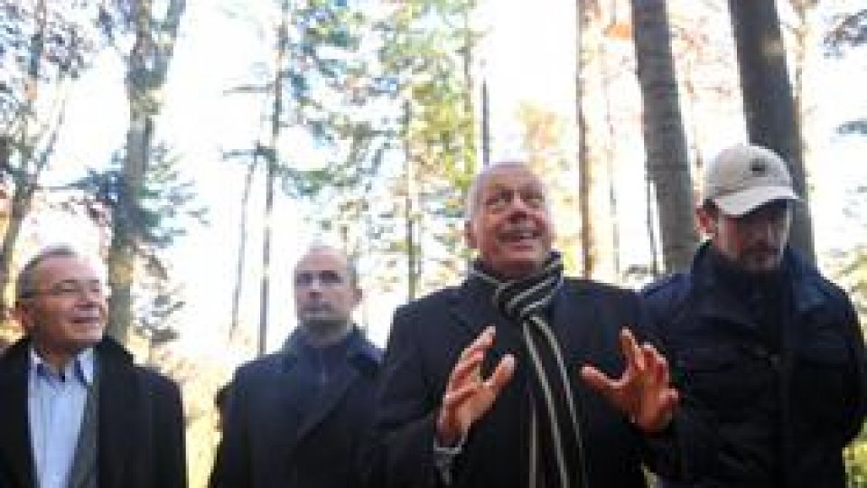 Cantitatea de masă lemnoasă tăiată ilegal, "în scădere"