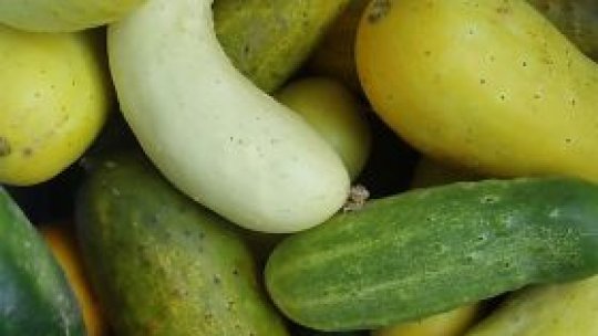 Minutul de raţiune gurmandă