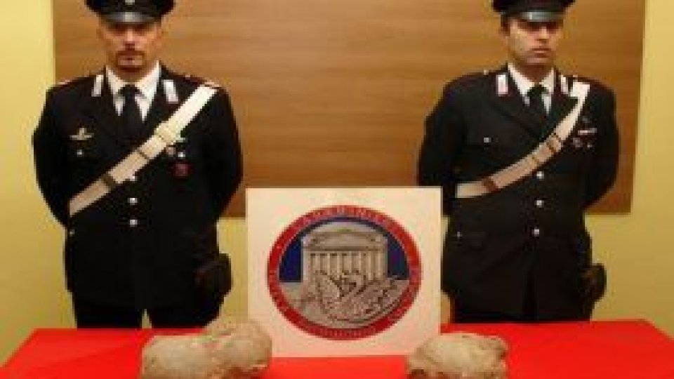 Trei ouă de dinozaur, furate din România, revin în ţară