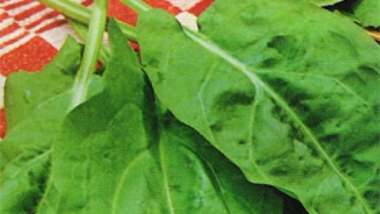 Îndulcitor nou autorizat de Comisia Europeană