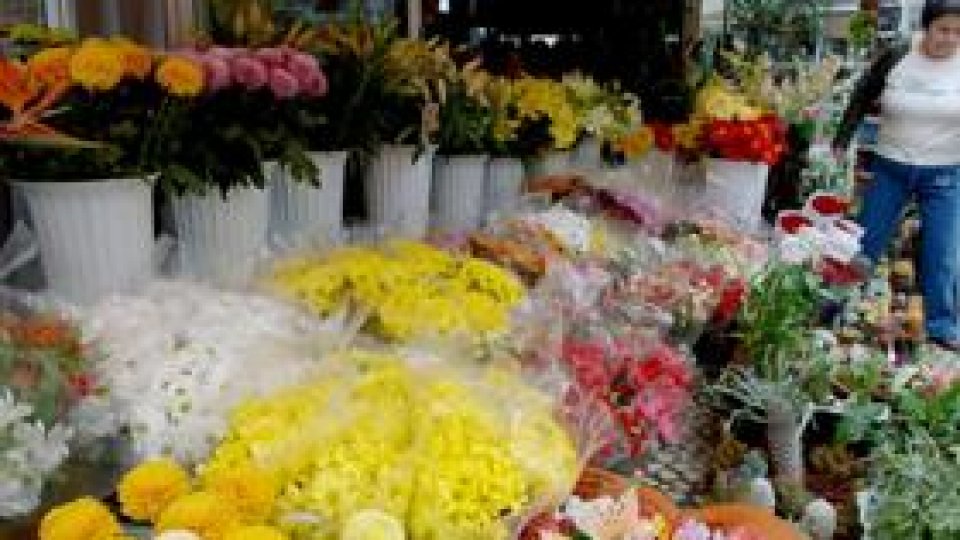 Cum să îţi promovezi mai bine florile