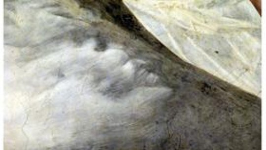 Giotto a realizat primul portret ascuns în detalii