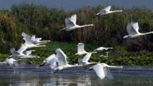 Numărul turiştilor în România, "în creştere"