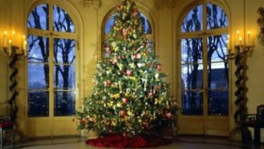 Cel mai bun brad să câştige