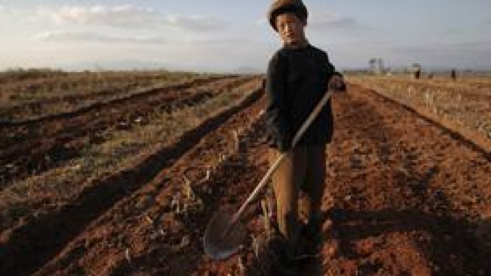 Coreea de Nord: profil de ţară